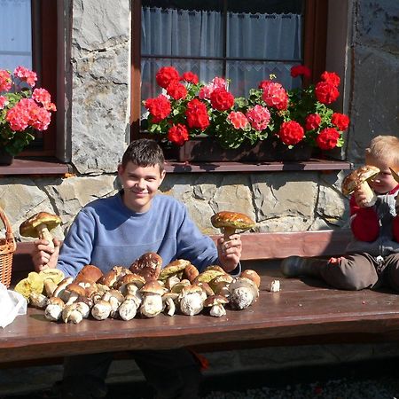 Penzion Tatry Ždiar Екстериор снимка